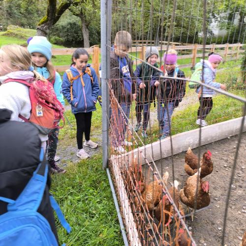 kapellenwanderung