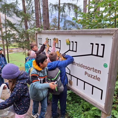 vom korn zum brot/silz