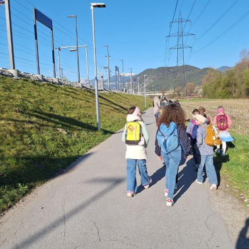 könig keks 25