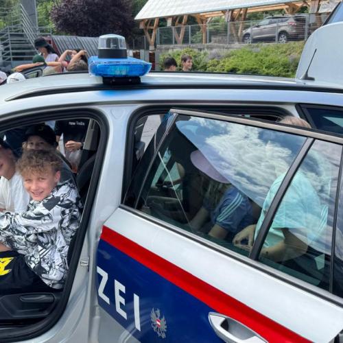 helfiade 25