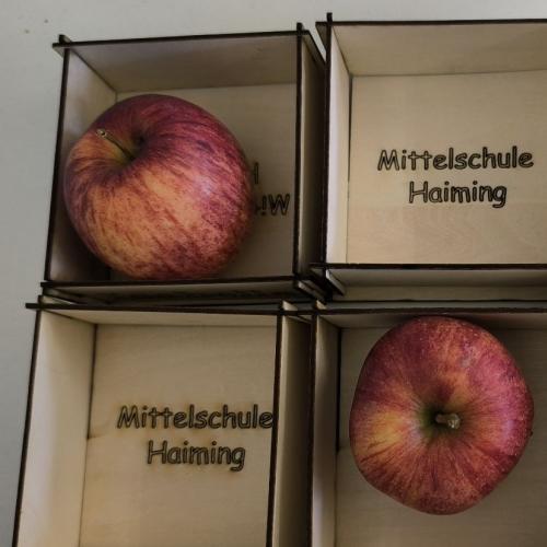 besuch an der ms haiming laserdruck