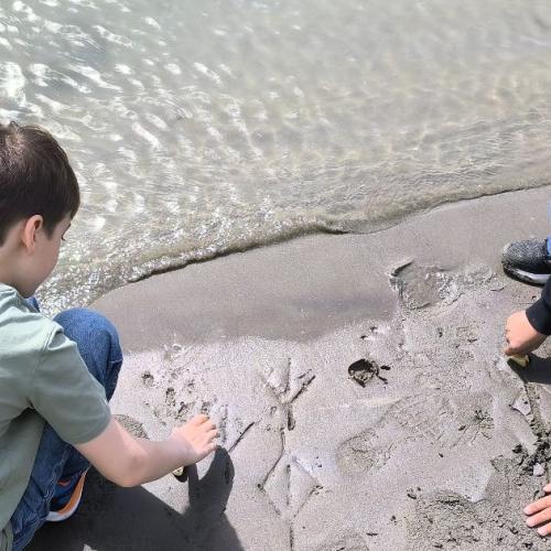 spuren werden in den sand gedrükt am inn