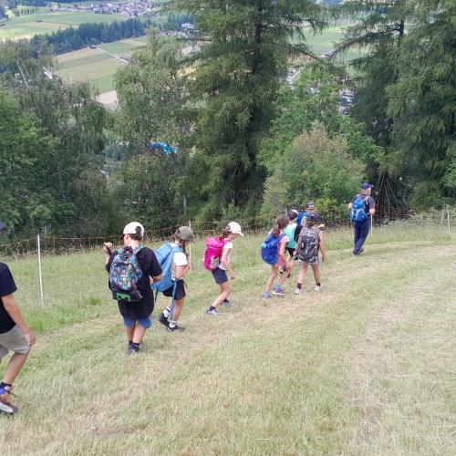 Abstieg durch die Wiese