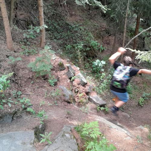 Leander beim Springen