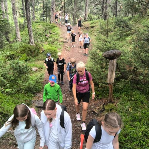 kindern wandern am pilzweg
