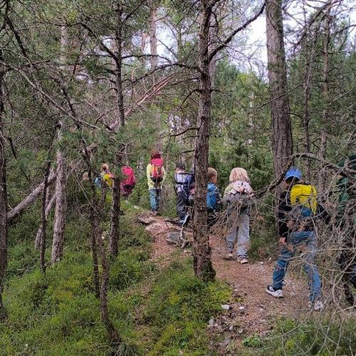 kinder im wald