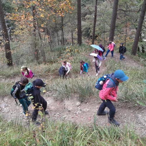 letzte Meter hinauf zum Kaisertalweg