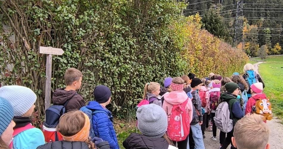 vom korn zum brot 3.klassen silz