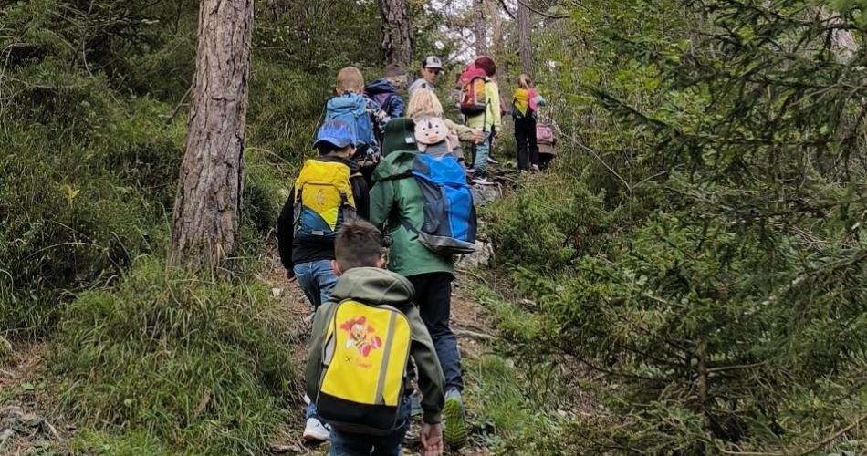 kinder im wald